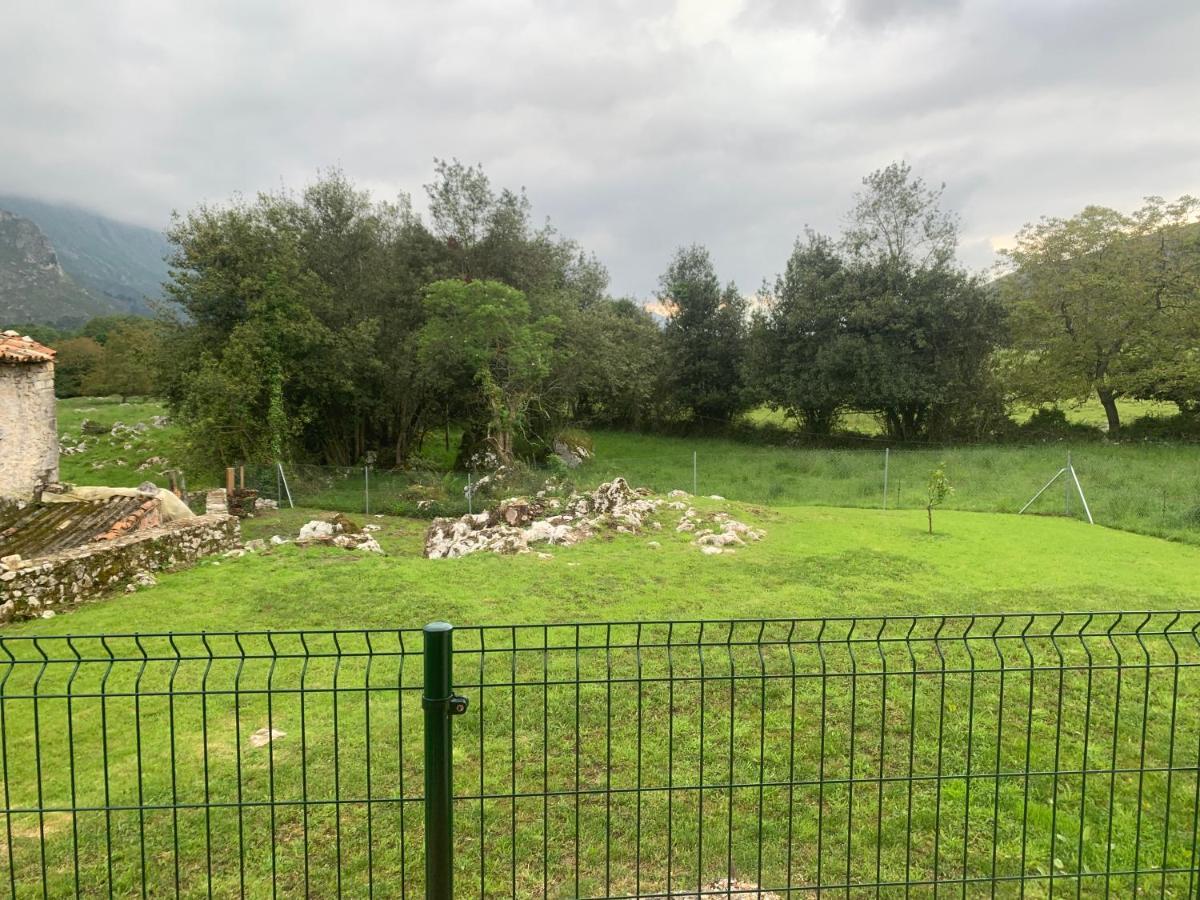 Apartamentos Canamal Llanes Kültér fotó